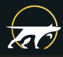 tokensniffer Icon